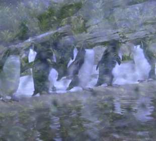Tierpark Hellabrunn - Polarwelt