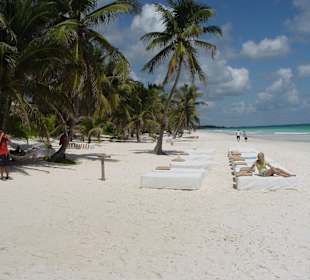 Ziggy-Beach/ Auszeichnung als Topstrand
