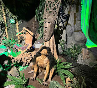 Museum Ripley's Believe It or Not!