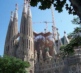 Sagrada6