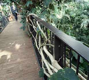 Biosphere Potsdam