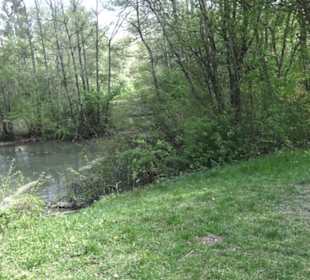 Wanderweg Hochgehwachsen