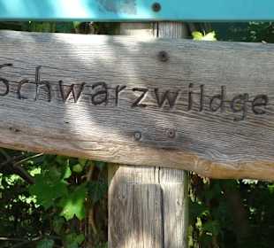 Wegweiser zum Wildschweingehege