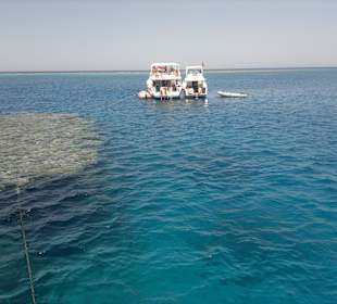 Dolfin House Marsa Alam