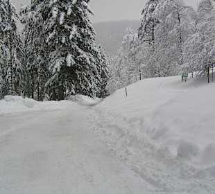 Bergweg zum Seibels Eckle
