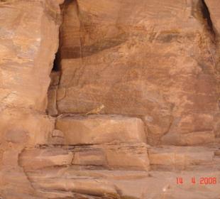 Ausflug zum Colored Canyon