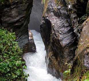 Gättungen am Felsen durch das Wasser