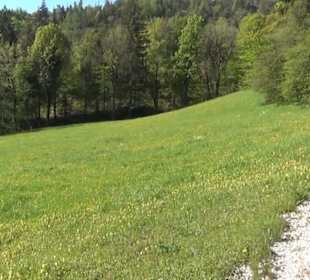 Listsee