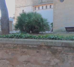 Església de Sant Jaume d'Alcúdia 