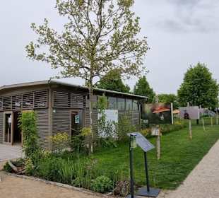 Das beste Teilstück der Gartenschau