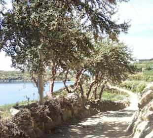 Wanderweg auf der Isla del Sol
