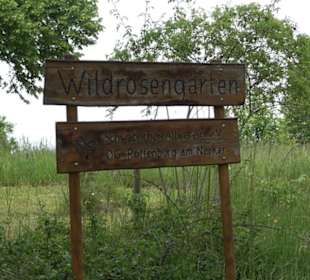 Wildrosengarten