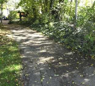 Fastnachtsmuseum Narrenschopf