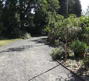 Botanischer Garten