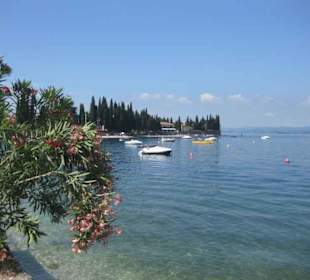 See im Bereich Torri