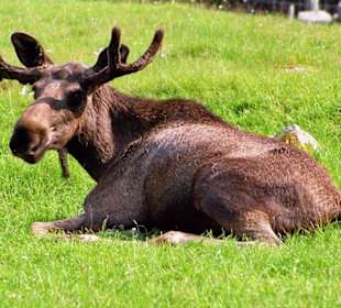 In der Ruhe liegt die Kraft...