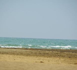 Strand von Bibione 06-2010