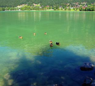 Am Achensee Pertisau