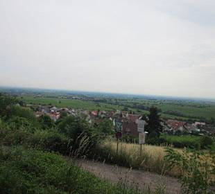 Auf dem Weg zur Walddusche