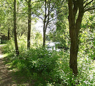 Weg