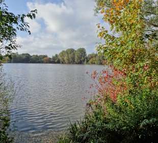 Rundgang um den Drielaker See