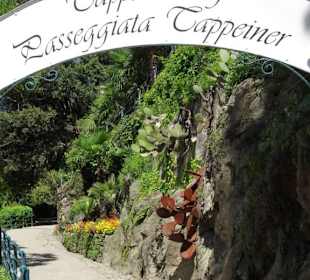 Zugang zum Tappeinerweg