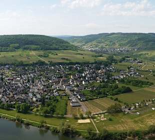 Wandern Alf an der Mosel