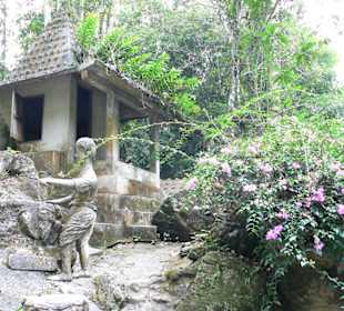 Teilansicht des Gartens