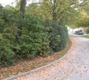 Kloster Heiligenbronn