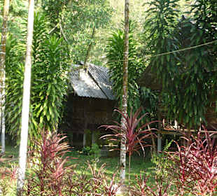 Ausflug und Übernachtung in Khao Sok