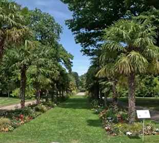 Flora und Botanischer Garten