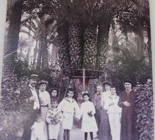 Parc la palmerie a Elche année 1915