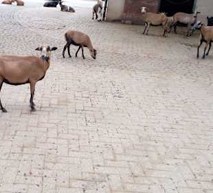 Erlebnispark Tripsdrill