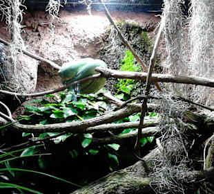 Tierpark Hellabrunn in München