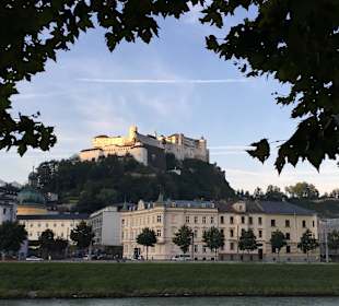 Hohe Feste beim Spaziergang mit Hund