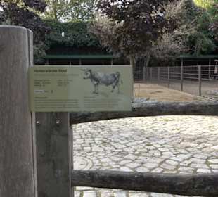 Zoologischer Garten