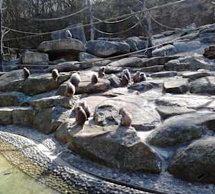 Tierpark Hellabrunn in München