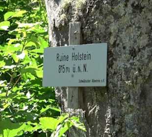 Burg Hölnstein Stetten u. Holstein