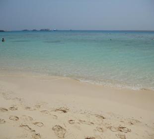 Karibikfeeling
