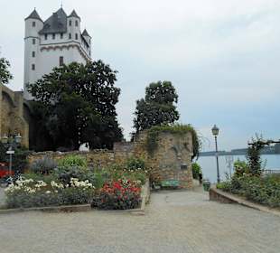 Burg Eltville
