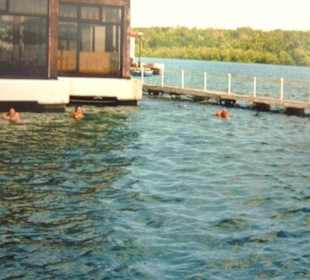 Mit Delfine im Naturbecken von Bahia de Naranjo