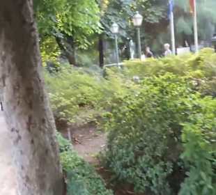 Real Jardín Botánico de Madrid