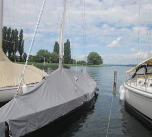 Insel Reichenau Yachthafen