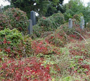 Jüdischer Teil des Zentralfriedhofes