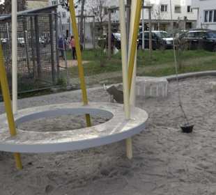Bürgerpark Diakonissenplatz
