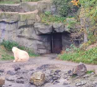 Zoo Hannover 
