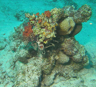 Tauchen bei der DiveConnection über Oototo gebucht