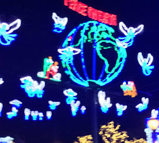 Disney , Orlando in Night