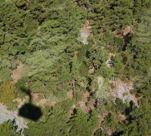 Widok z kolejki linowej