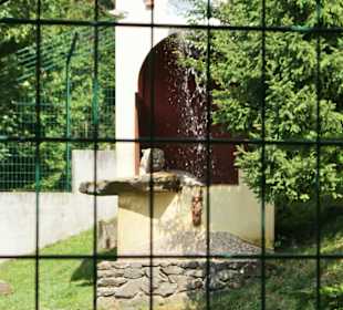 Kameltheater & Weißer Hof